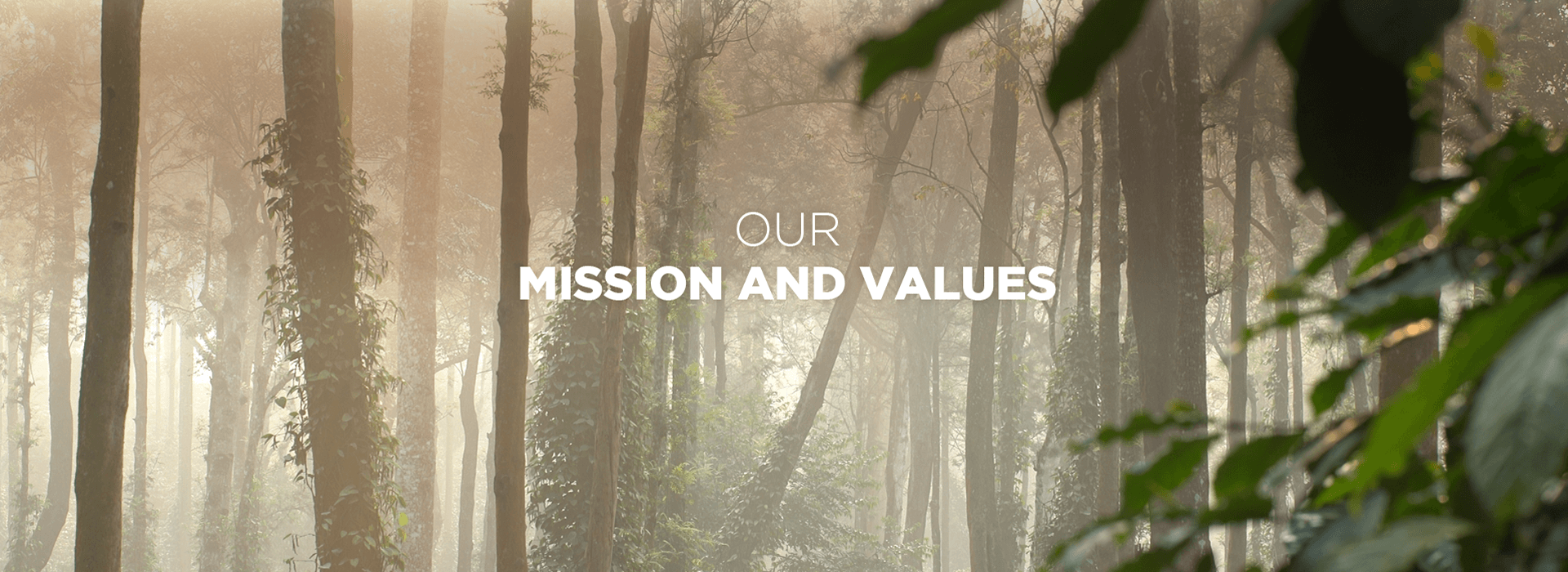 Our Mission and values  - Desktop - Tata Coffee