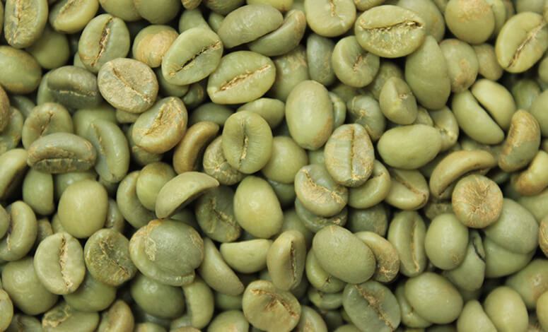 Washed Robusta