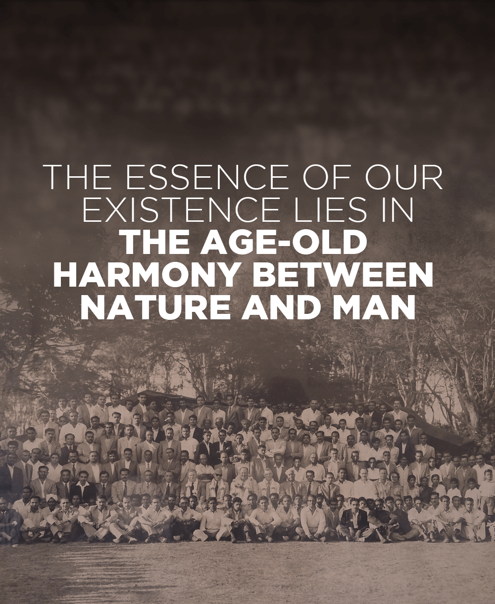 The age old harmony between nature and man  - Mobile - Tata Coffee